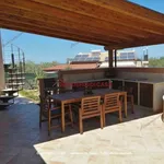 Rent 3 bedroom house of 120 m² in Cefalù