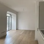 Rent 1 bedroom apartment of 60 m² in Milan