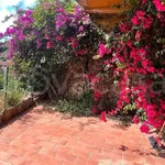 Rent 2 bedroom apartment of 35 m² in Monte Argentario