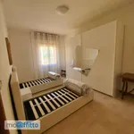 Rent 3 bedroom apartment of 75 m² in Bologna