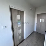 Rent 1 bedroom apartment of 27 m² in Ostrava