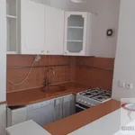 Rent 2 bedroom apartment in  Praha