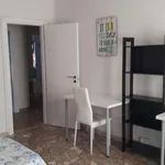 Rent a room in bologna