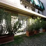 Rent 2 bedroom apartment of 50 m² in Torino