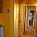 Rent 3 bedroom apartment of 100 m² in Trieste