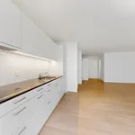 Rent 3 bedroom apartment of 62 m² in Rheinfelden