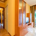 Rent 6 bedroom apartment in Madrid