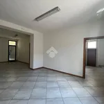 Rent 3 bedroom apartment of 80 m² in Stradella