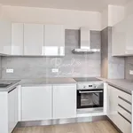 Rent 2 bedroom apartment of 63 m² in Capital City of Prague