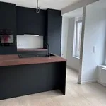 Huur 1 slaapkamer appartement in Dendermonde