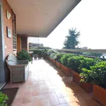 Rent 3 bedroom apartment of 150 m² in Rome