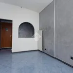 Rent 1 bedroom apartment of 35 m² in Turin