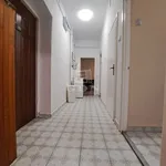 Rent 2 bedroom apartment of 50 m² in Miskolc