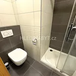 Rent 1 bedroom apartment of 27 m² in Capital City of Prague