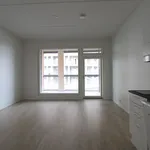 Vuokraa 1 makuuhuoneen asunto, 28 m² paikassa linda