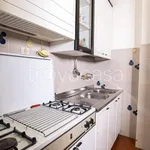 Rent 3 bedroom apartment of 70 m² in Rosignano Marittimo