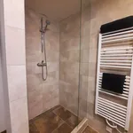 Rent 1 bedroom apartment of 34 m² in Brno