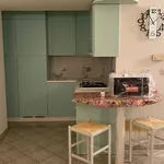 Rent 1 bedroom house of 70 m² in Turin