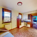 Rent 2 bedroom apartment of 47 m² in Cernusco sul Naviglio