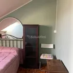 Rent 4 bedroom apartment of 80 m² in Turin