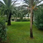 Rent 2 bedroom apartment of 50 m² in Forte dei Marmi