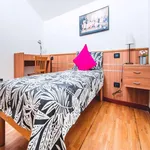 Rent 1 bedroom apartment in Milan