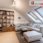 Rent 2 bedroom apartment of 62 m² in Prague