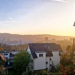 Miete 2 Schlafzimmer wohnung in Zurich