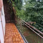 Rent 2 bedroom apartment of 60 m² in Biella