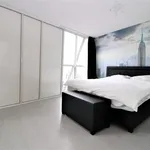 Rent 2 bedroom apartment of 77 m² in Rotterdam