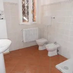 Rent 1 bedroom apartment in modena