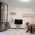 Rent 1 bedroom apartment of 42 m² in Milano