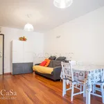 Rent 5 bedroom apartment of 100 m² in Pisa