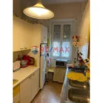 Rent 2 bedroom apartment of 70 m² in Roma