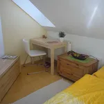 Miete 1 Schlafzimmer wohnung von 27 m² in Maria Enzersdorf