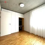 Rent 3 bedroom apartment of 75 m² in Praha 10