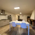 Rent 2 bedroom apartment of 46 m² in Roccaforte Mondovì