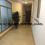 Rent 1 bedroom apartment of 40 m² in Rome