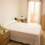 Alquilar 4 dormitorio apartamento en Valencia