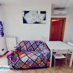 Rent 2 bedroom apartment of 50 m² in Milan