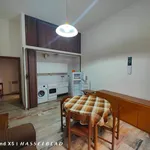 Rent 2 bedroom apartment of 60 m² in Bologna