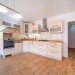 Rent 3 bedroom apartment of 67 m² in České Budějovice