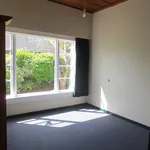 Rent 5 bedroom house in Palmerston North