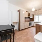 Rent 1 bedroom apartment of 105 m² in Leipzig