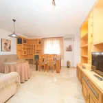 Alquilar 4 dormitorio apartamento en Granada