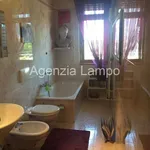 Rent 3 bedroom apartment of 91 m² in Portogruaro