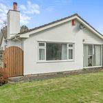 Rent 4 bedroom house in South West England