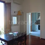 Rent 3 bedroom apartment of 110 m² in Firenze