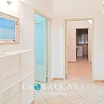 Rent 4 bedroom apartment of 75 m² in Grosseto