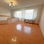 Rent 1 bedroom apartment of 956 m² in Benátky nad Jizerou